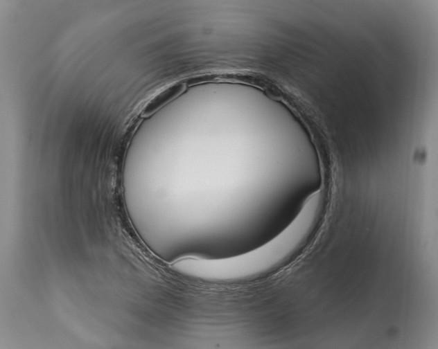 X0000114991169200911161506