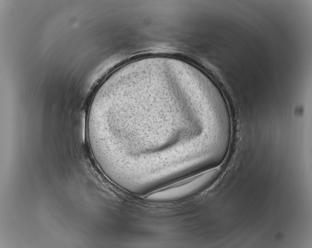 X0000114991171200911161506