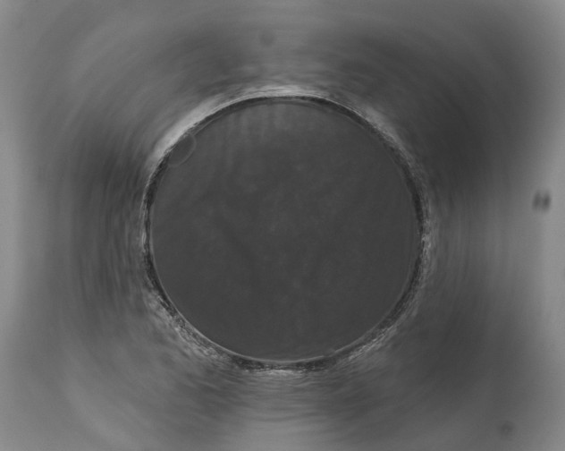 X0000114991173200911161506