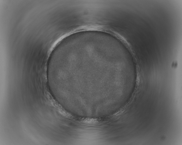 X0000114991174200911161506