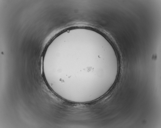 X0000114991175200911161506