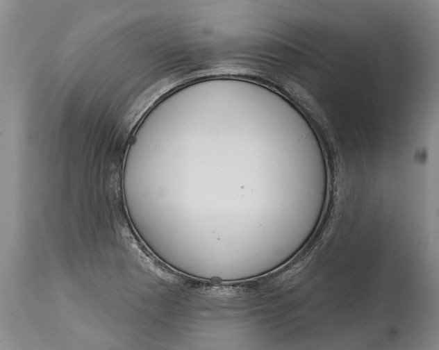 X0000114991177200911161506