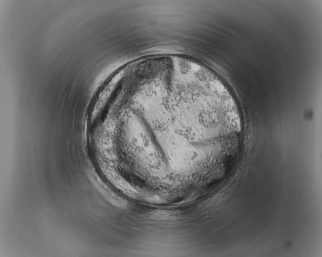 X0000114991179200911161506