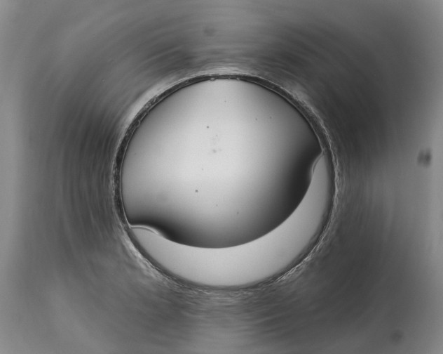 X0000114991181200911161506