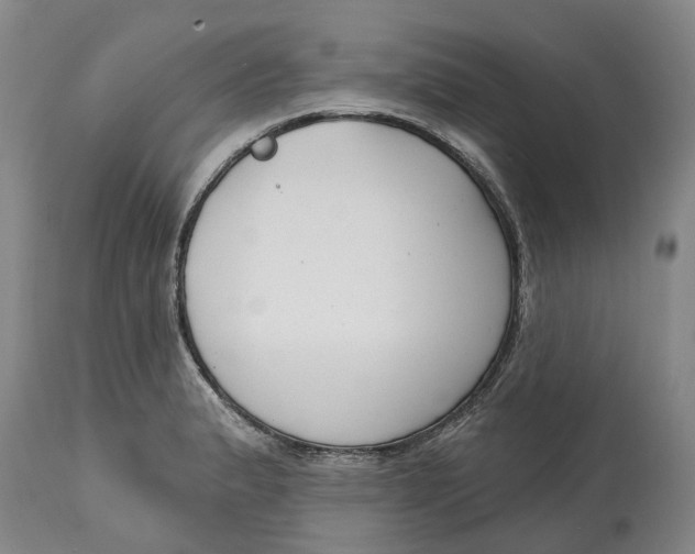 X0000114991183200911161506