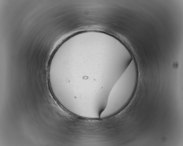 X0000114991184200911161506