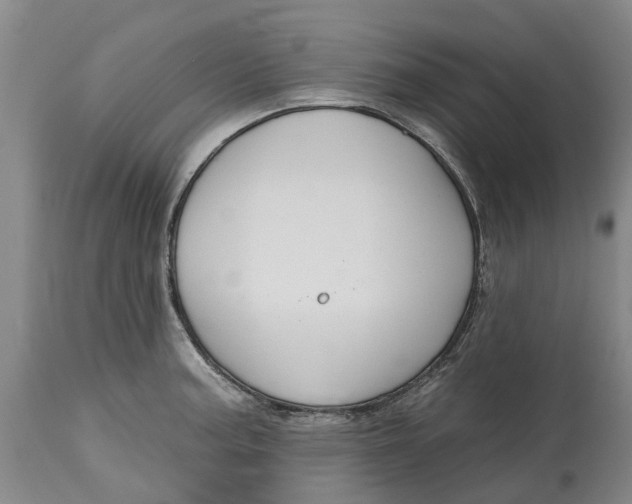 X0000114991187200911161506