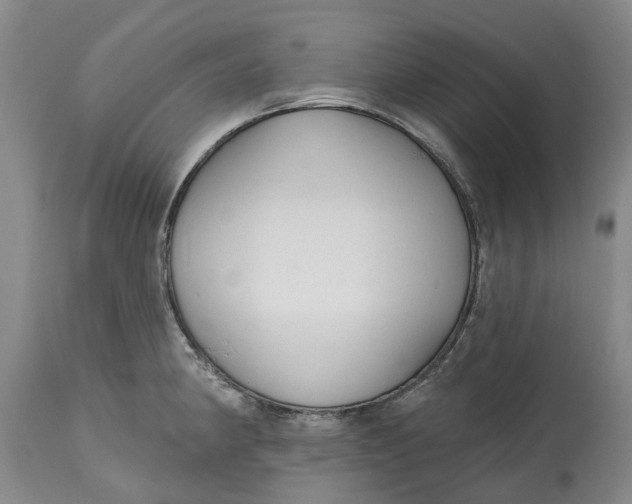 X0000114991190200911161506