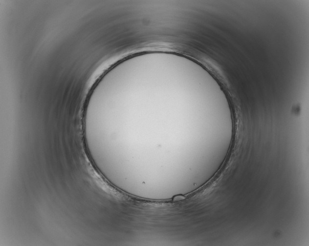 X0000114991192200911161506