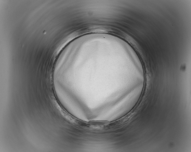 X0000114991194200911161506