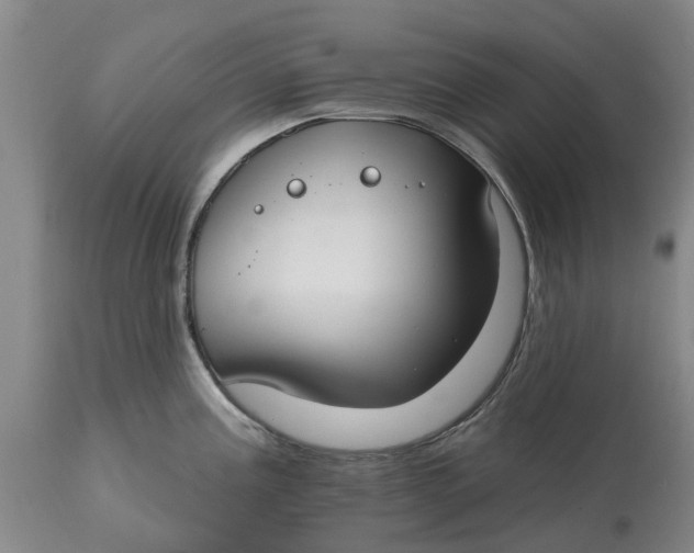 X0000114991195200911161506