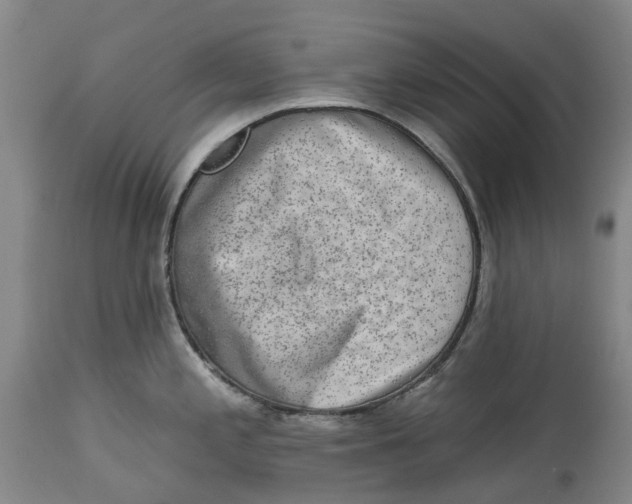 X0000114991197200911161506