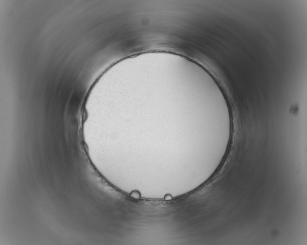 X0000114991198200911161506