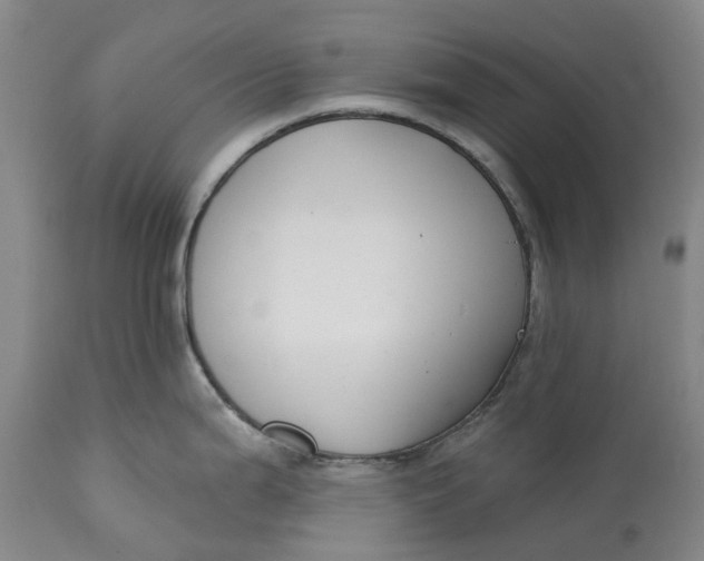 X0000114991199200911161506