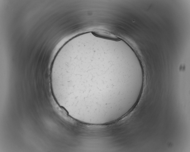 X0000114991200200911161506