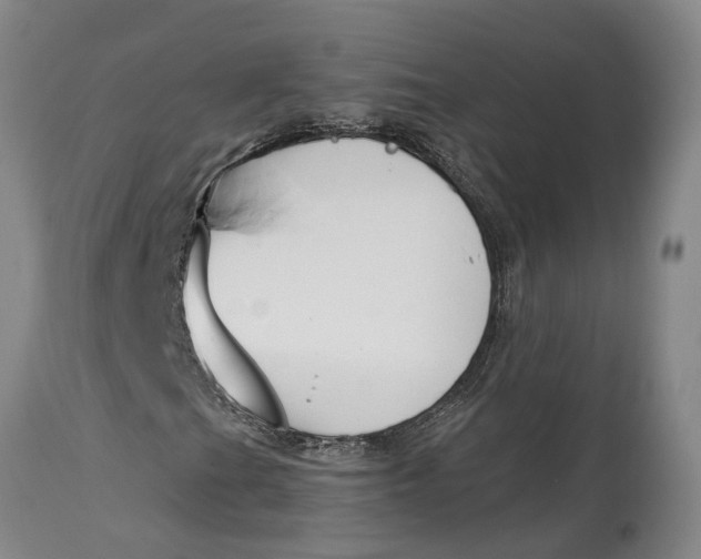 X0000114991201200911161505