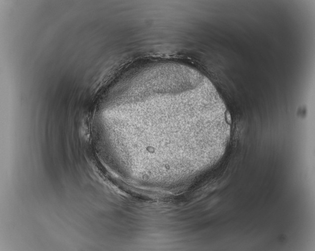 X0000114991202200911161505