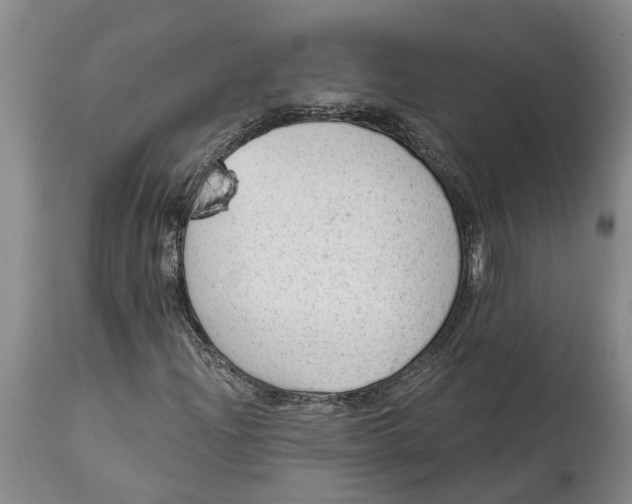 X0000114991204200911161505