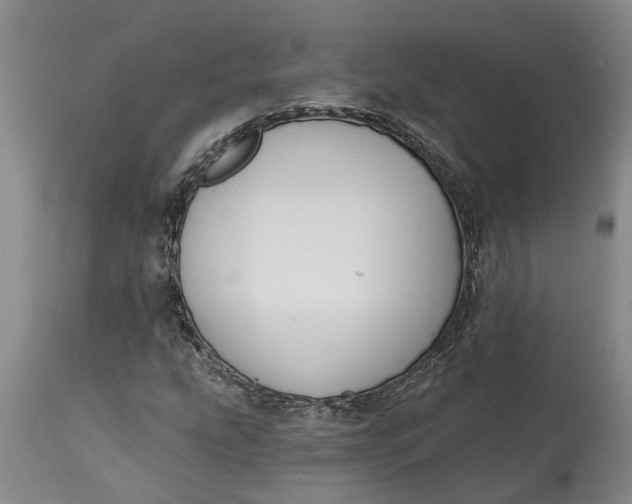 X0000114991207200911161505