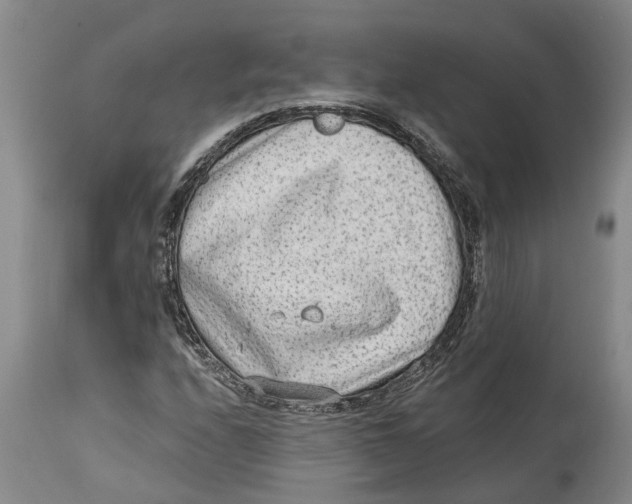 X0000114991208200911161505