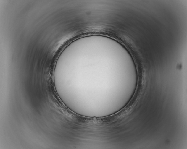 X0000114991210200911161505