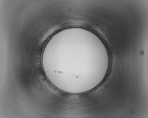 X0000114991211200911161505