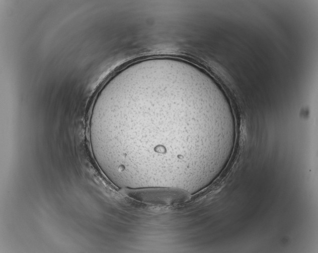 X0000114991212200911161505