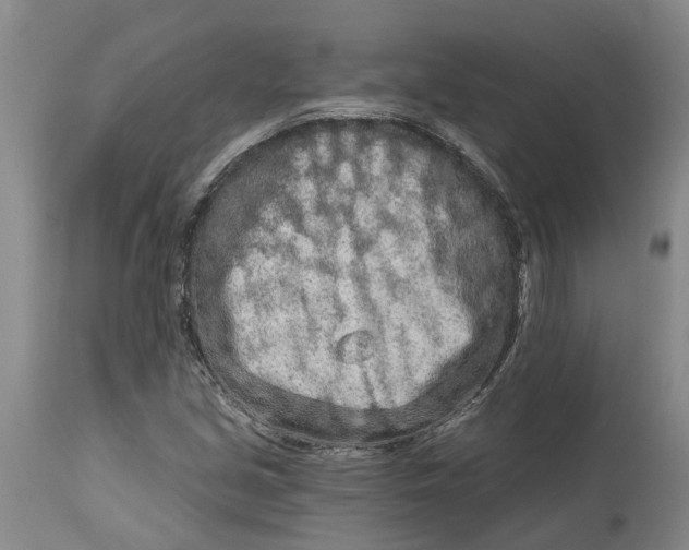 X0000114991213200911161505