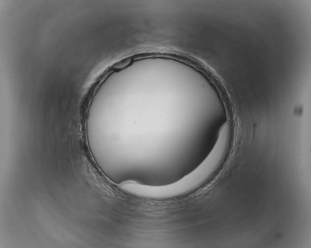 X0000114991215200911161505