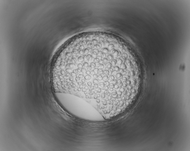 X0000114991216200911161505