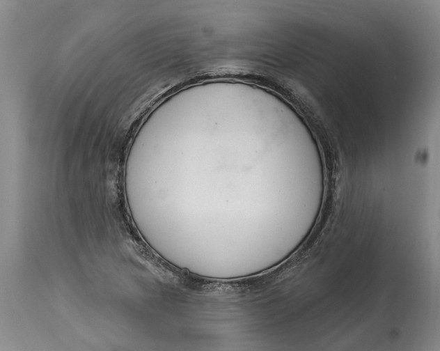 X0000114991217200911161505