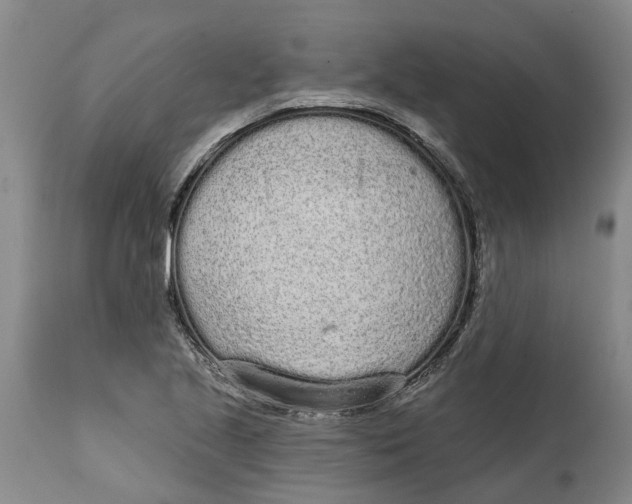 X0000114991221200911161506