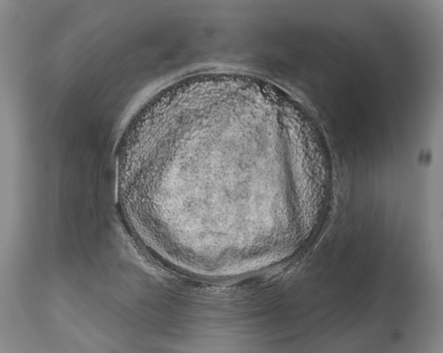 X0000114991223200911161506