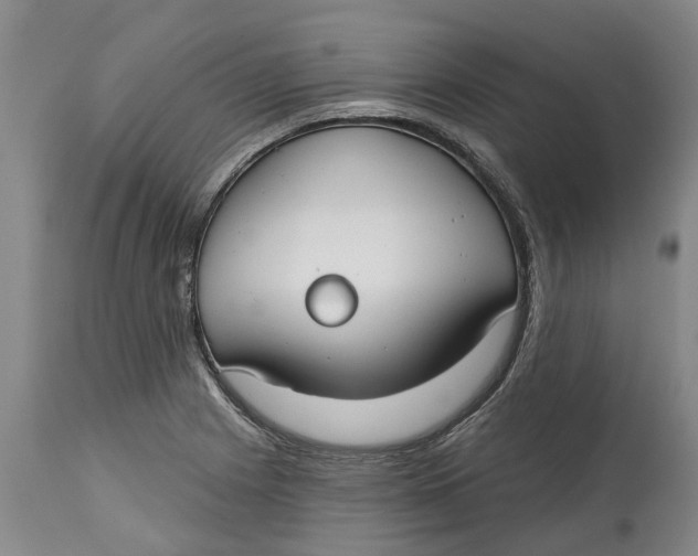 X0000114991225200911161506