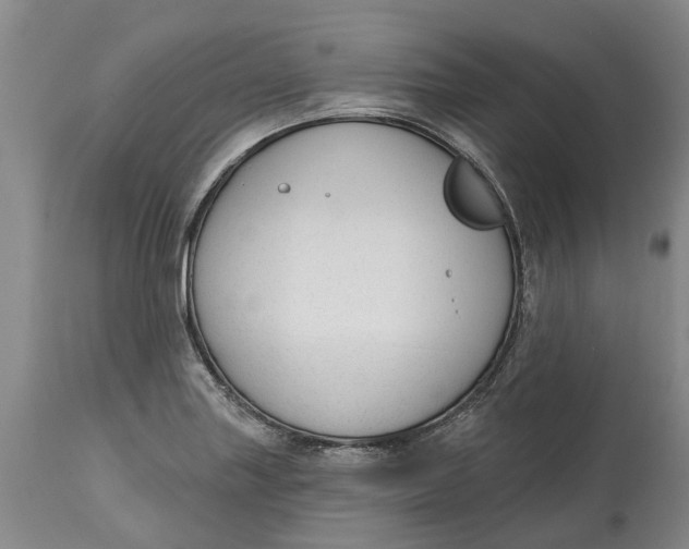 X0000114991227200911161506