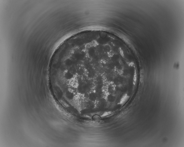 X0000114991229200911161506