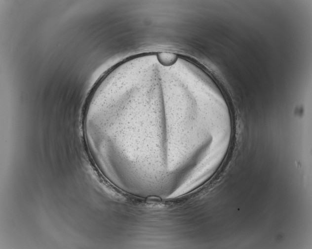 X0000114991230200911161506