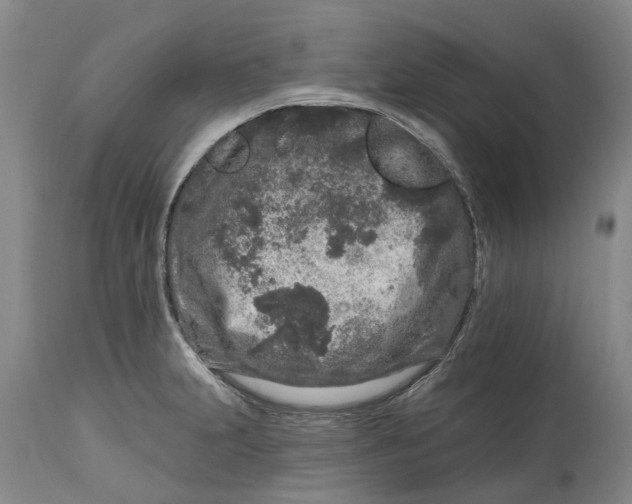 X0000114991231200911161506