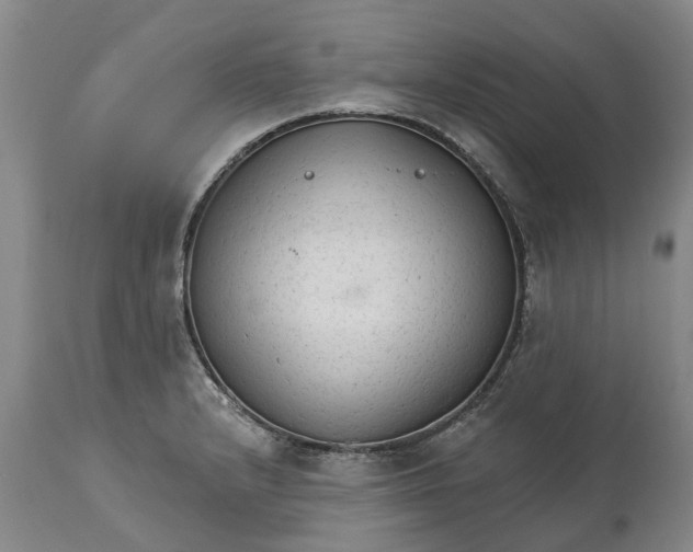 X0000114991232200911161506