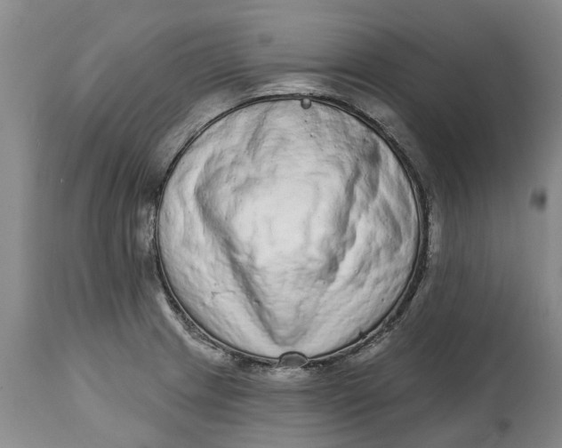 X0000114991233200911161506