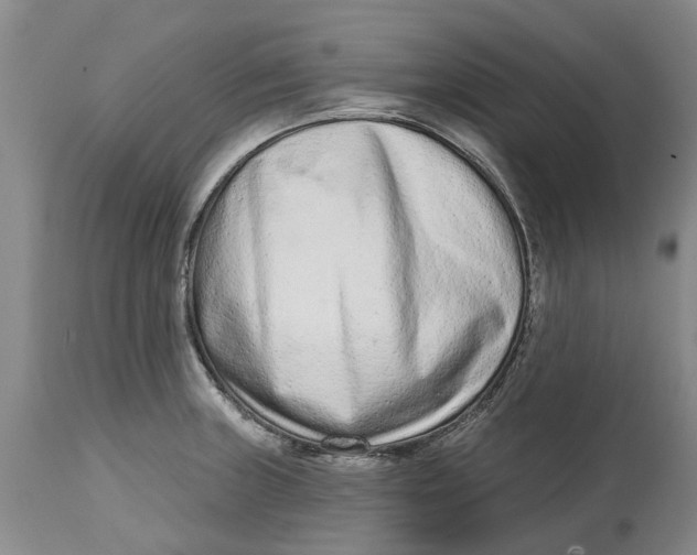 X0000114991235200911161506