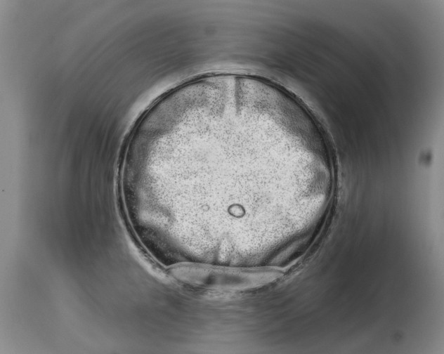 X0000114991237200911161506