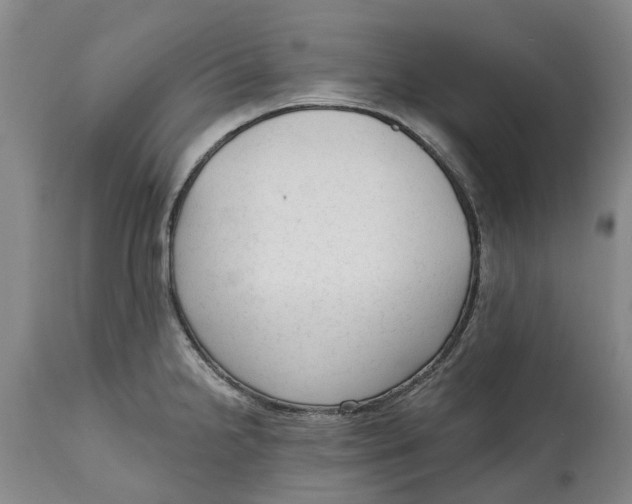 X0000114991238200911161506