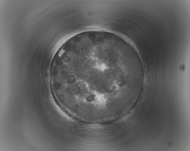 X0000114991239200911161506