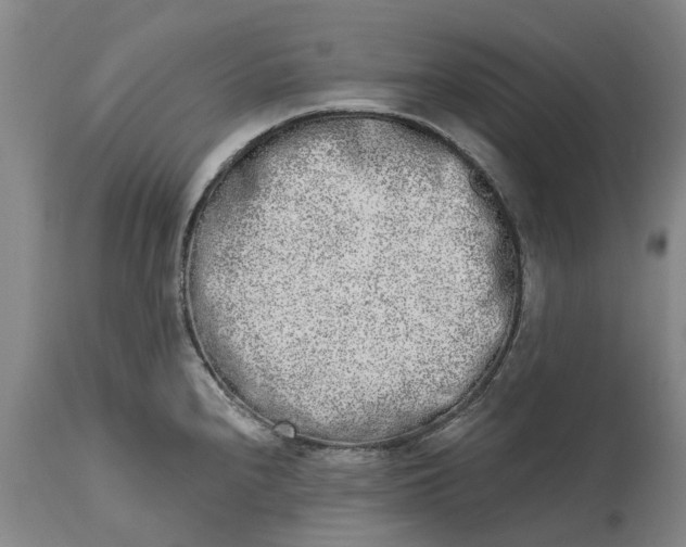 X0000114991240200911161506