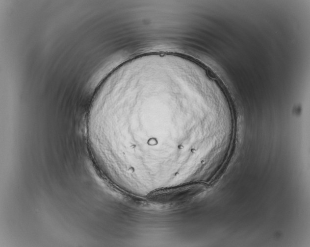 X0000114991241200911161506