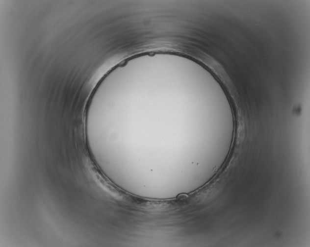 X0000114991242200911161506