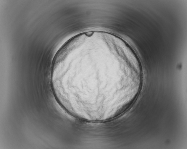 X0000114991244200911161506