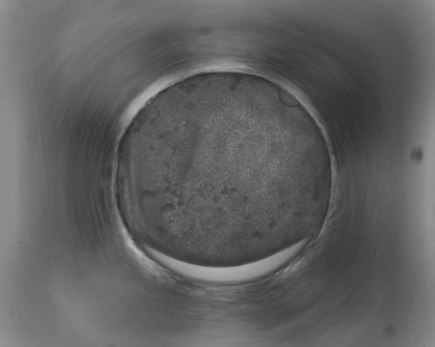 X0000114991245200911161506