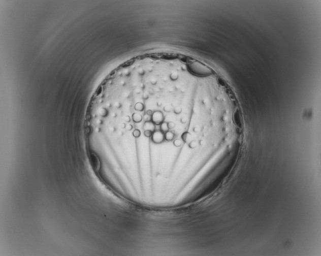 X0000114991247200911161506